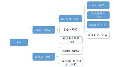 十一省聯(lián)動出擊 血液制品與計算機軟硬件開發(fā)領(lǐng)域的深度整治與創(chuàng)新突圍